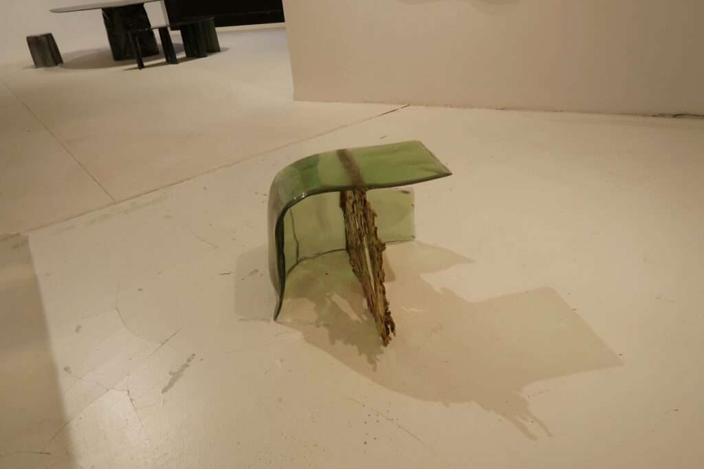 Photo credit: Leila Mekhdi