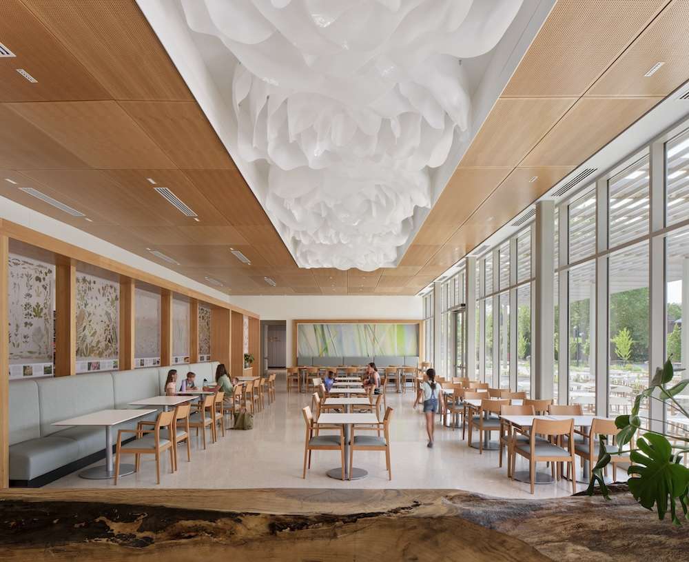 A ceiling depicts roses in full bloom at the Sassafrass Restaurant at t he Missouri Botanical Garden