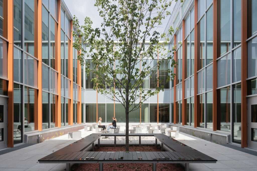 The planted courtyard in the heart of the building – Aux Mille-Voix high school

Photo credit: Raphaël Thibodeau