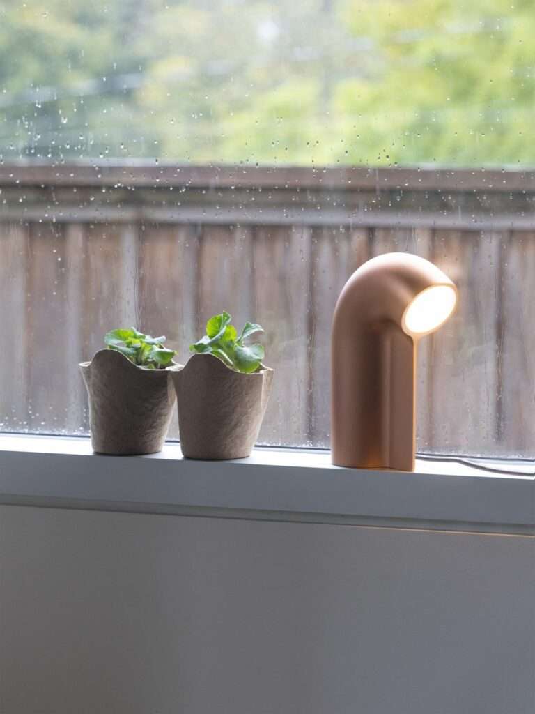 Jacob Boyd's The Bough Pot: Linking Community and Urban Farming