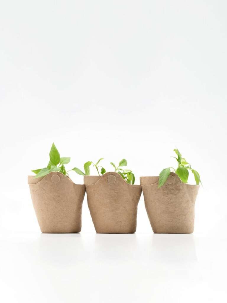 Jacob Boyd's The Bough Pot: Linking Community and Urban Farming