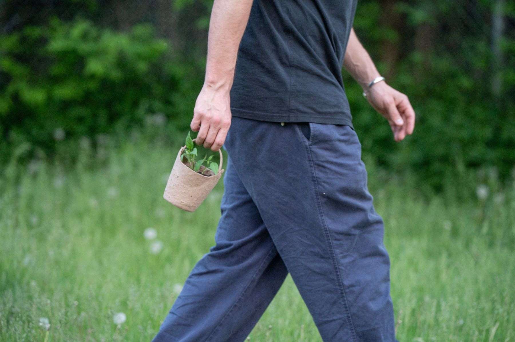 Jacob Boyd's The Bough Pot: Linking Community and Urban Farming
