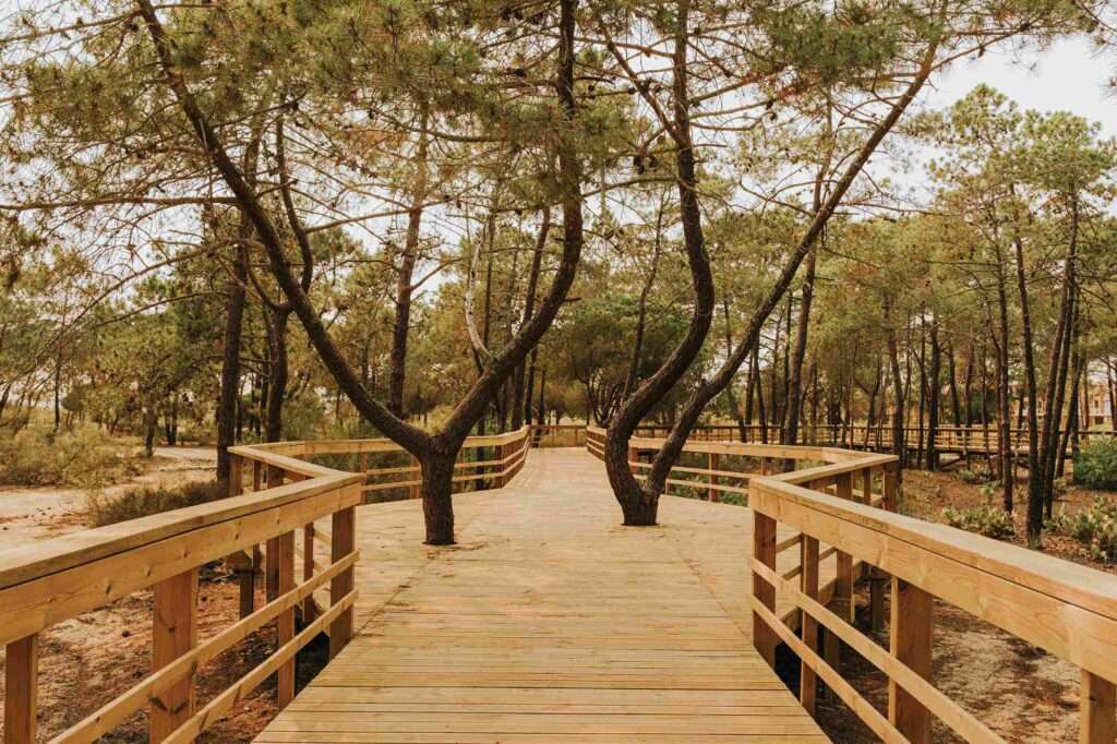 Photo credit: Catarina Diniz