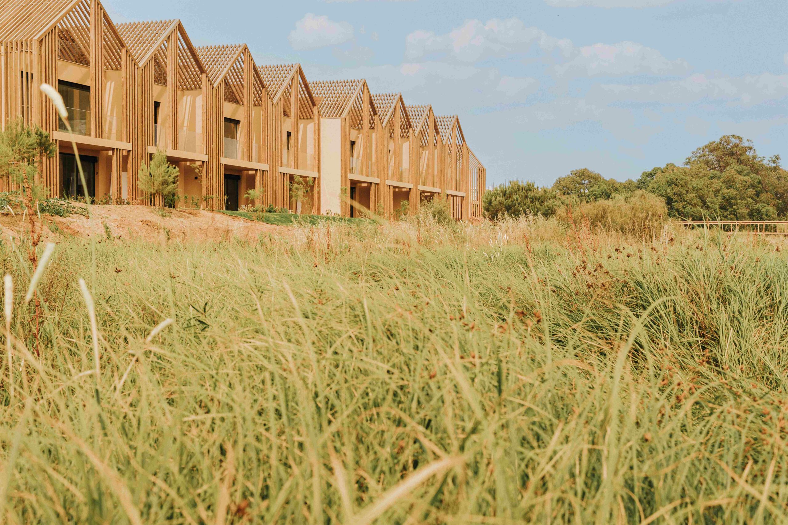 Photo credit: Catarina Diniz