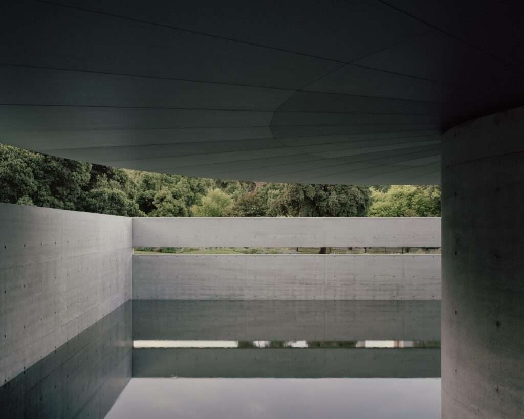 Photo credit: Rory Gardiner, Luke Ray, William Hamilton-Coates, Marie-Luise Skibbe, Michael Pham, Rick Clifford