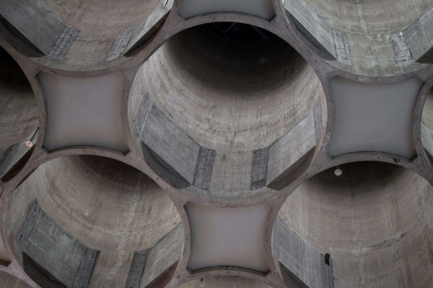 Kunstilo, Photo credit: Tomasz Majewski / Alan Williams Photography