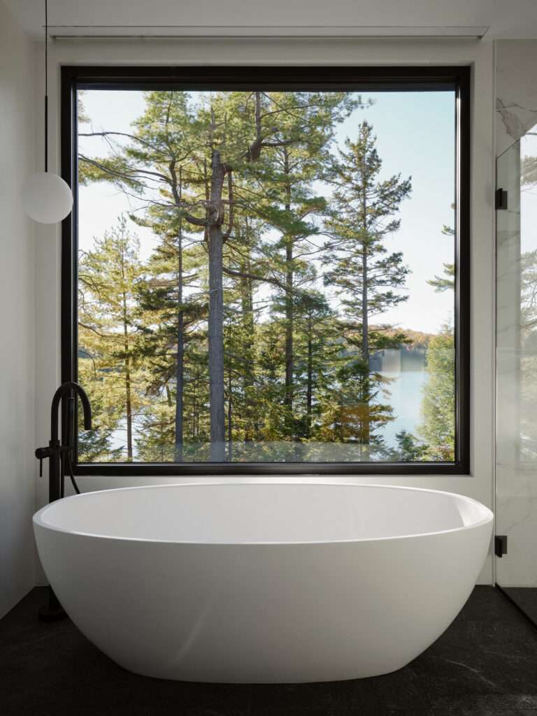 Between Lake and Forest