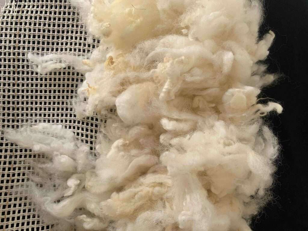 Photo credit: Courtesy of MDF