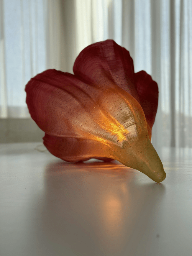 Photo credit: Andreina Reventos