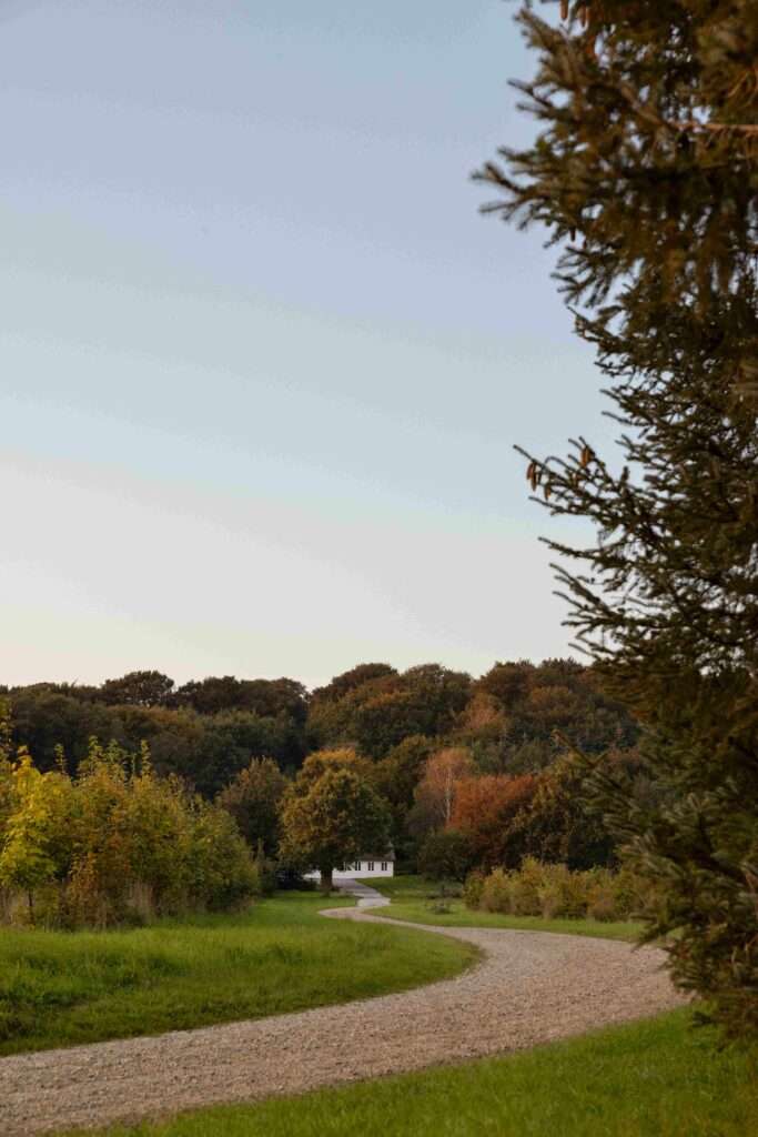 Photo credit: Monica Grue Steffensen