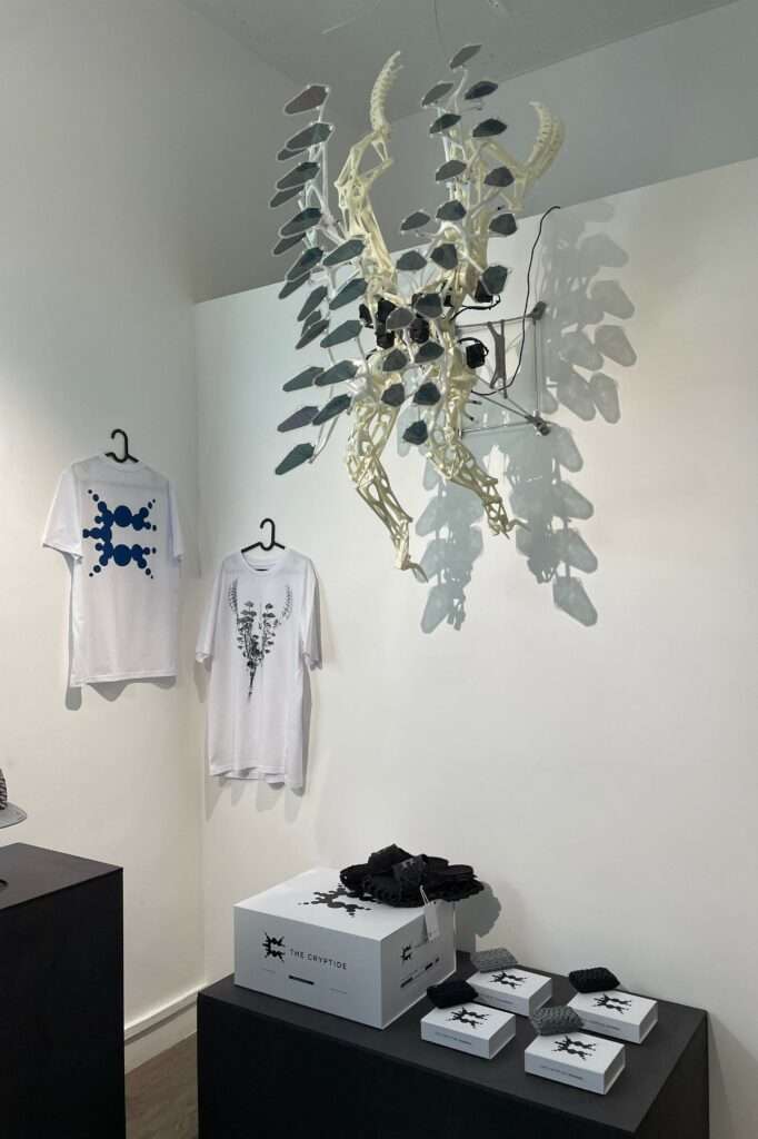 Photo credit: Leonor Gomes