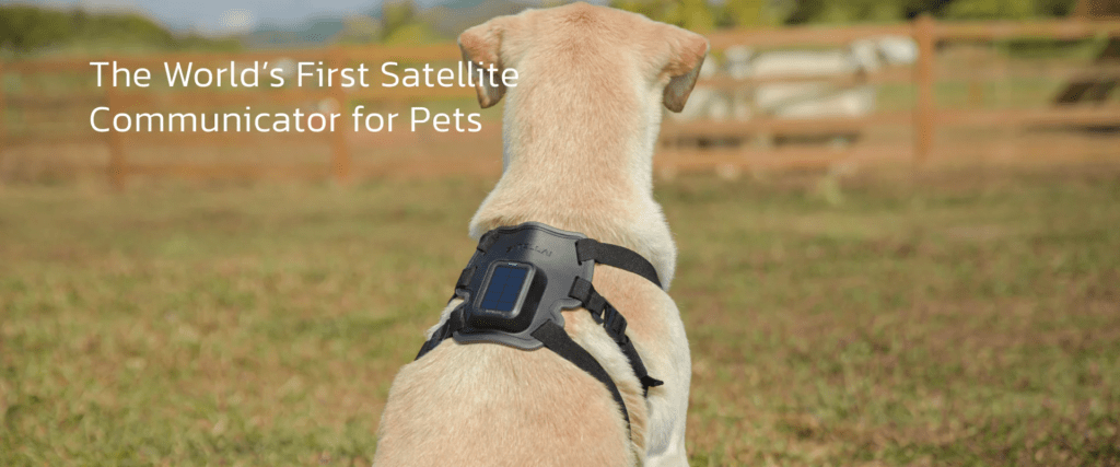 SATELLAI dog collar, Photo credit: SATELLAI
