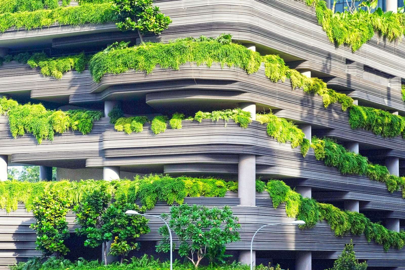 gray concrete building covered trees Photo credit: Danist Soh