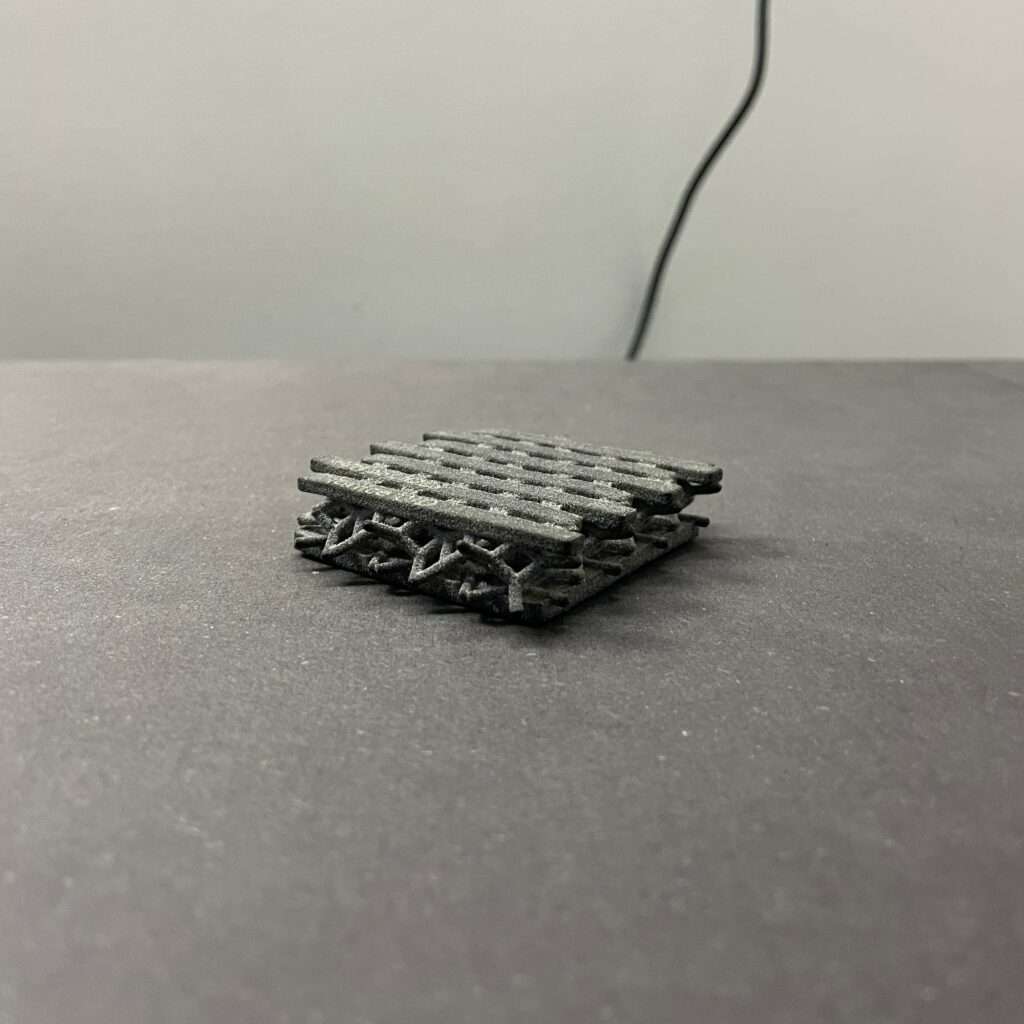 Photo credit: Leonor Gomes