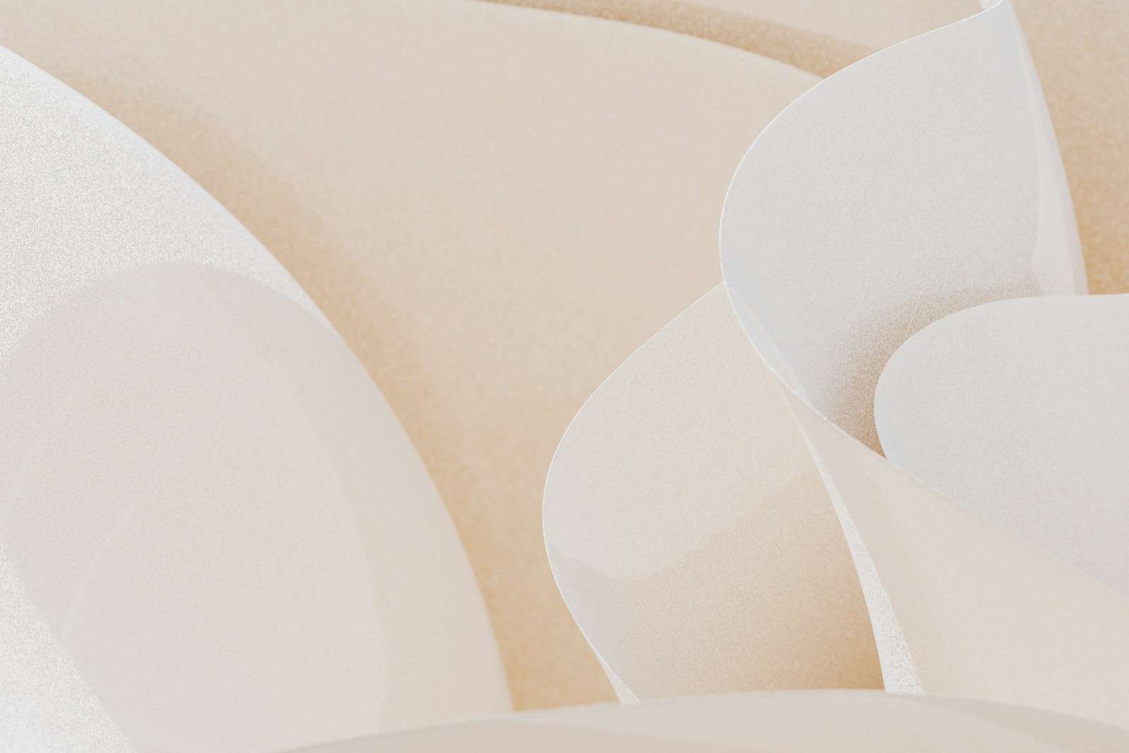 A close up of a bunch of white chairs