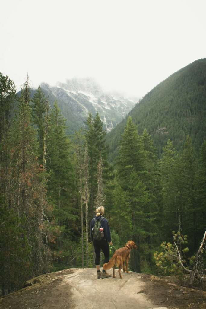 Hiking with dog