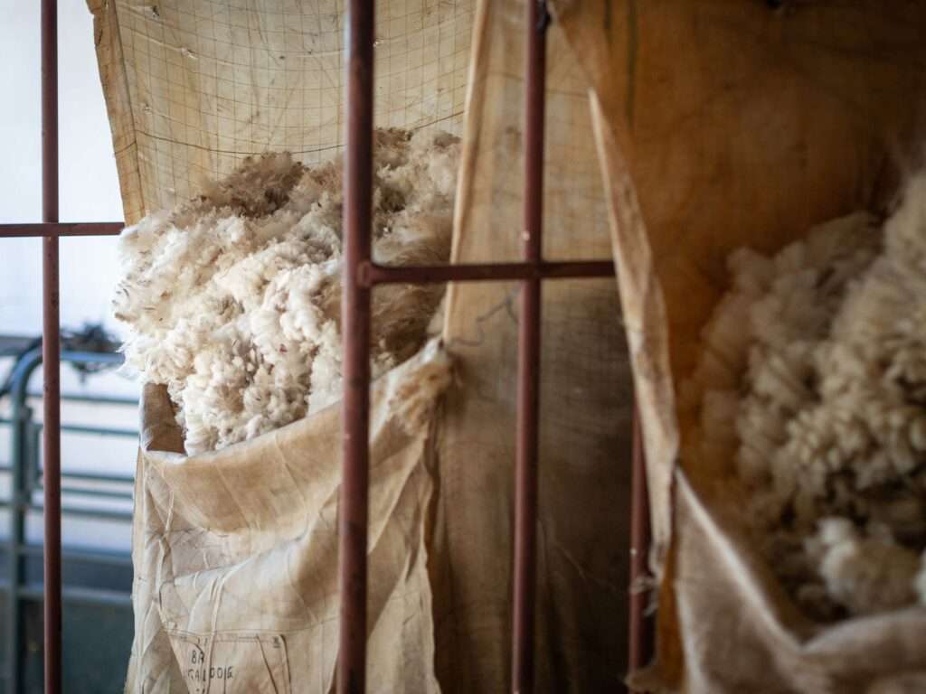 Photo credit: Wool4life