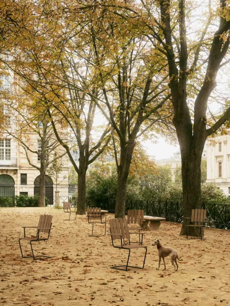 The NEW A2 Armchair in Green