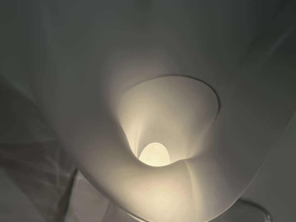 The Fiora lamp, designed by Heesoo Park