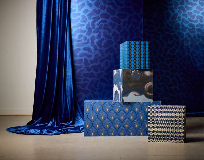 Rebecca Moses x Momentum Collection