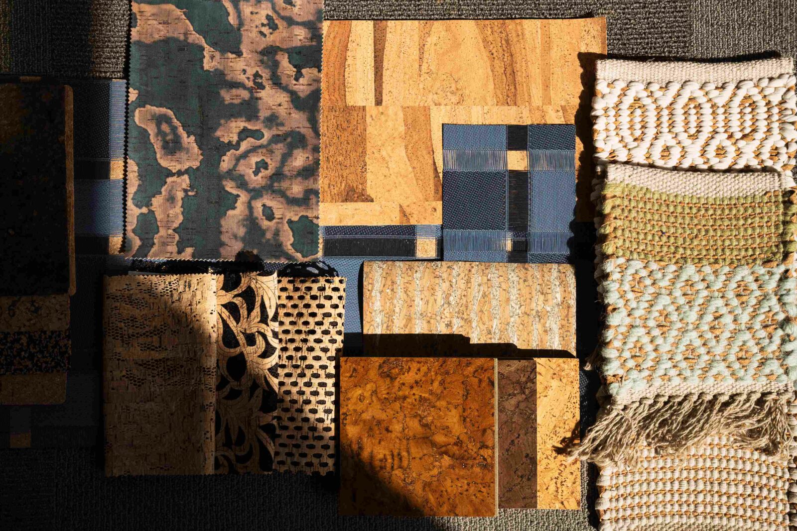 Photo credit: Emily Andrews