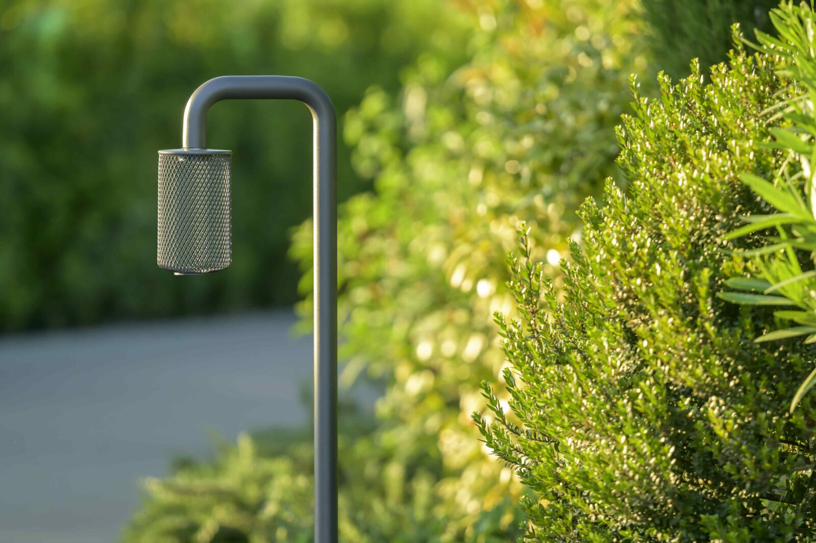 Photo credit: Ottavio Tomasini