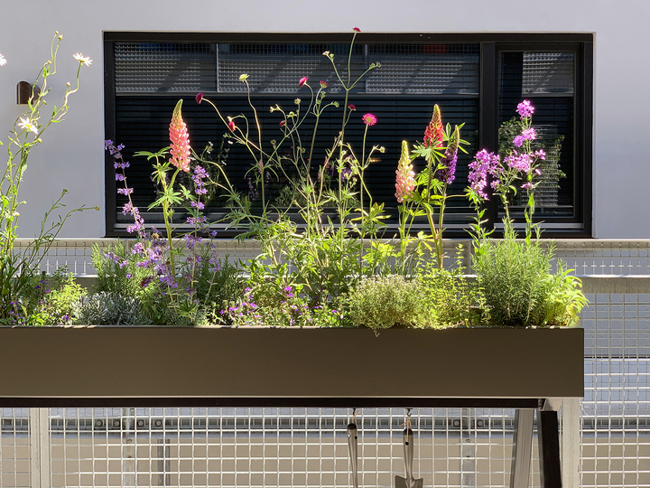 Gardenworks by Weltevree