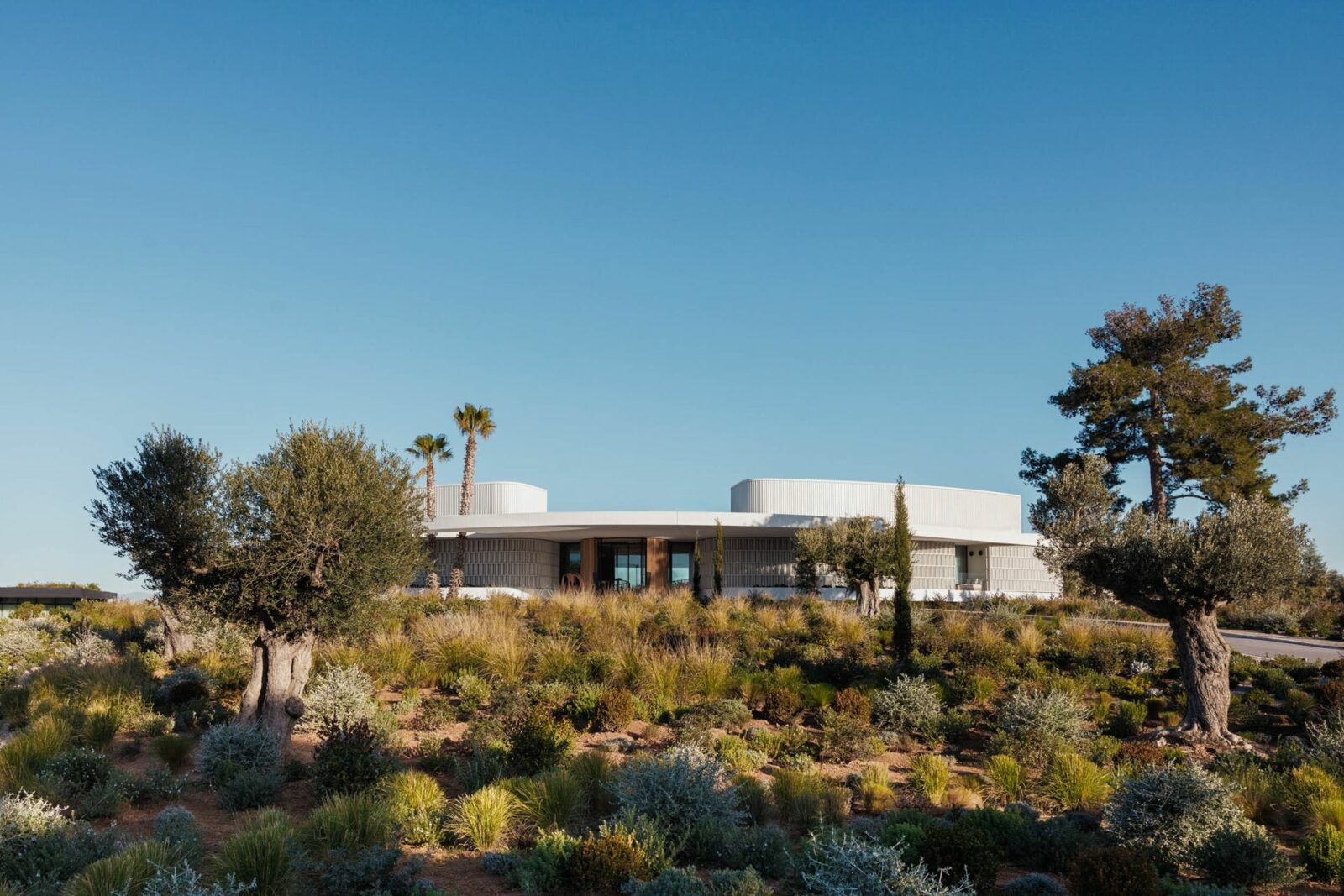 Photo credit: Rupert Peace, Will Pryce