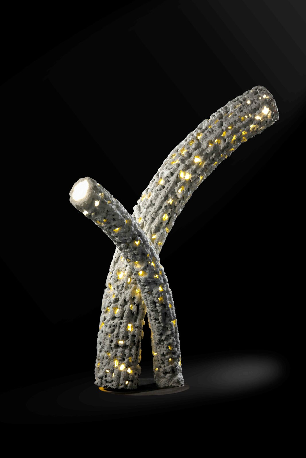 Photo credit: Mr. Arpit Patel