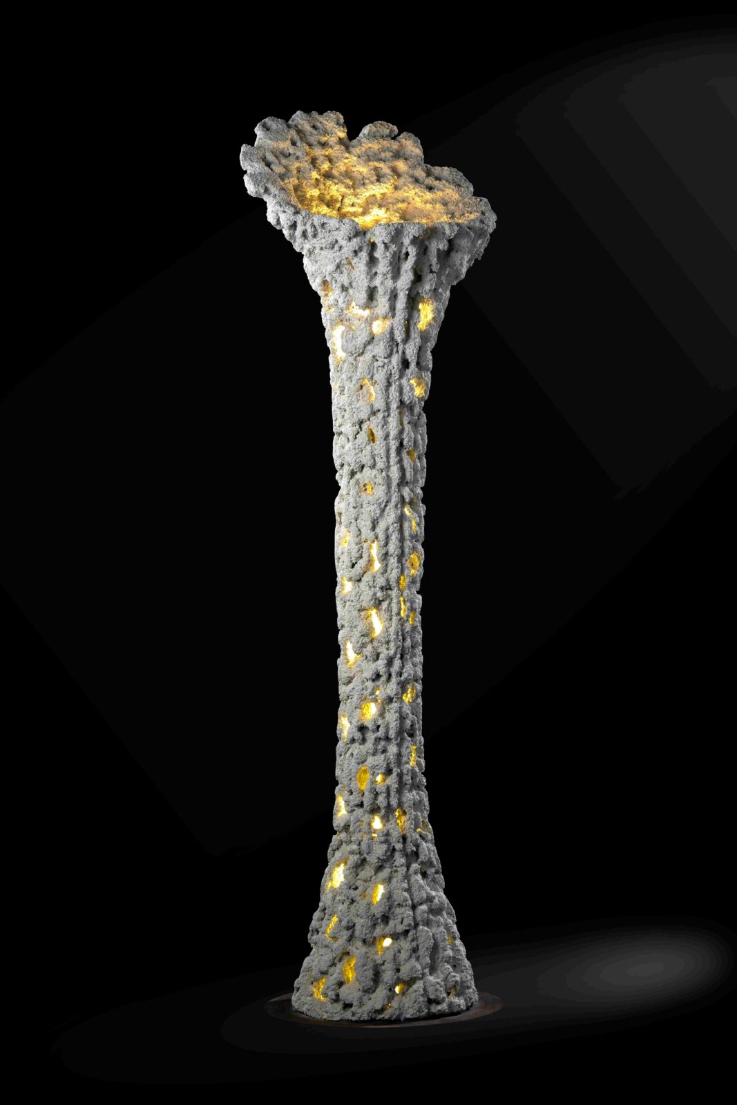 Photo credit: Mr. Arpit Patel