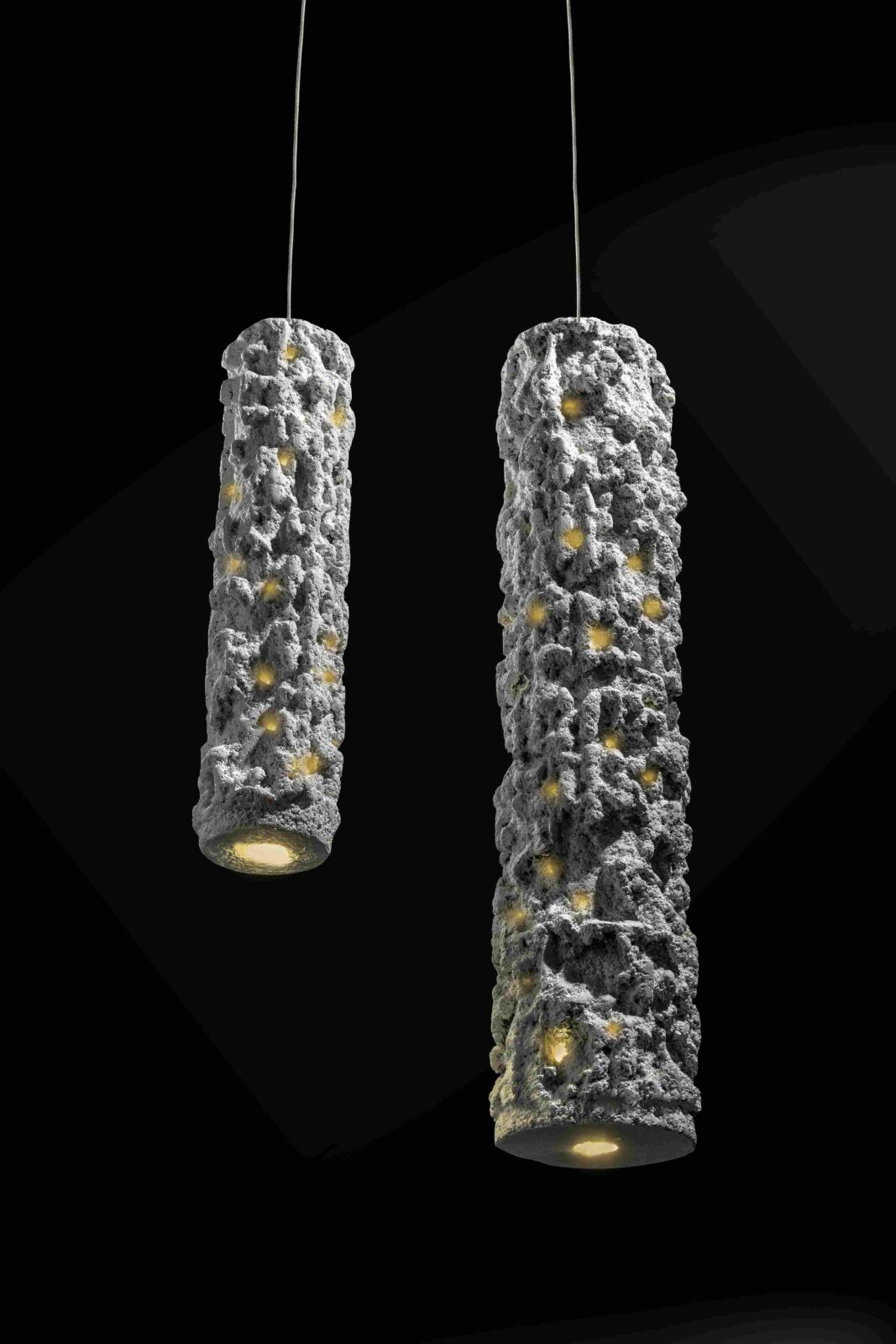 Photo credit: Mr. Arpit Patel