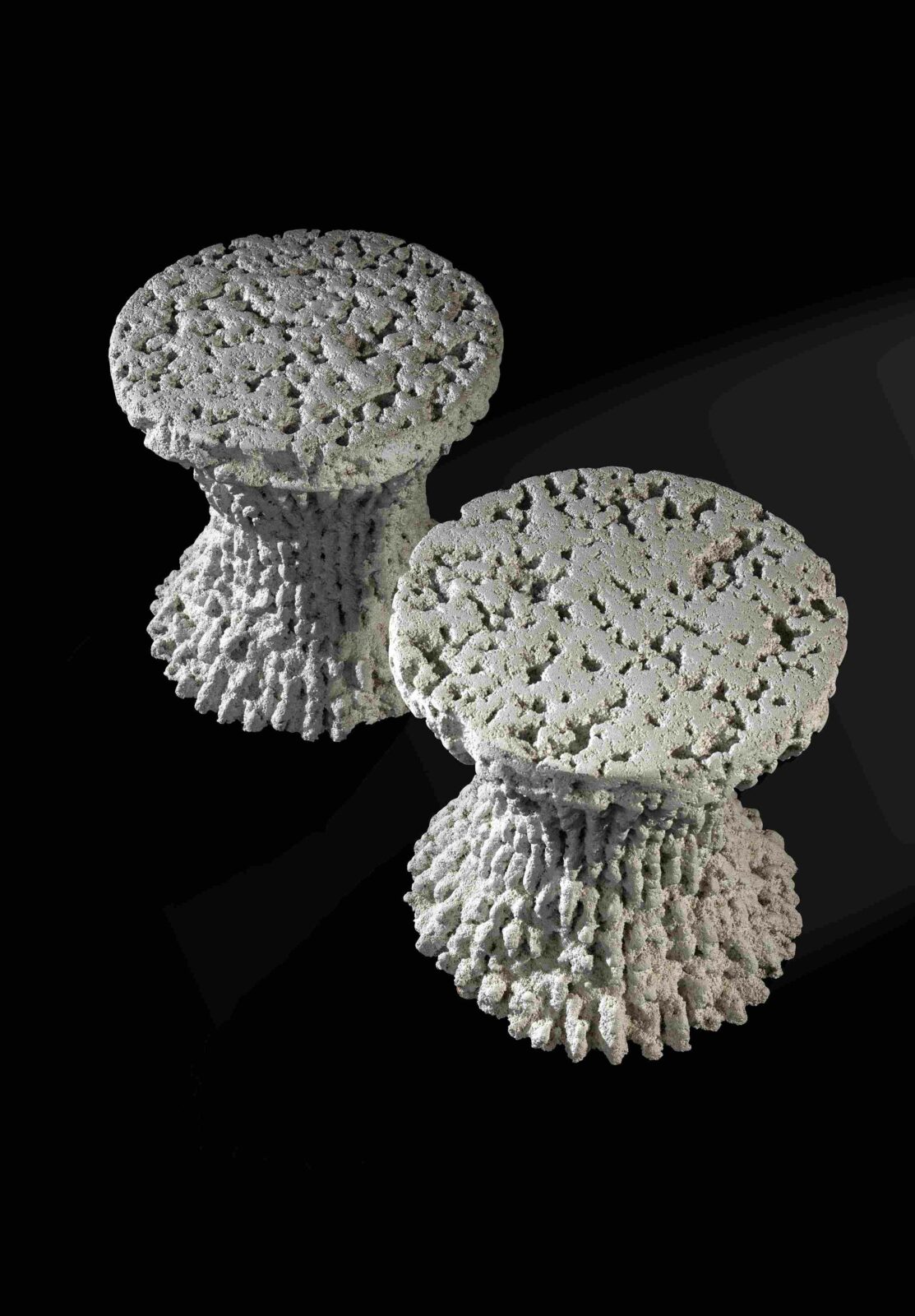 Photo credit: Mr. Arpit Patel