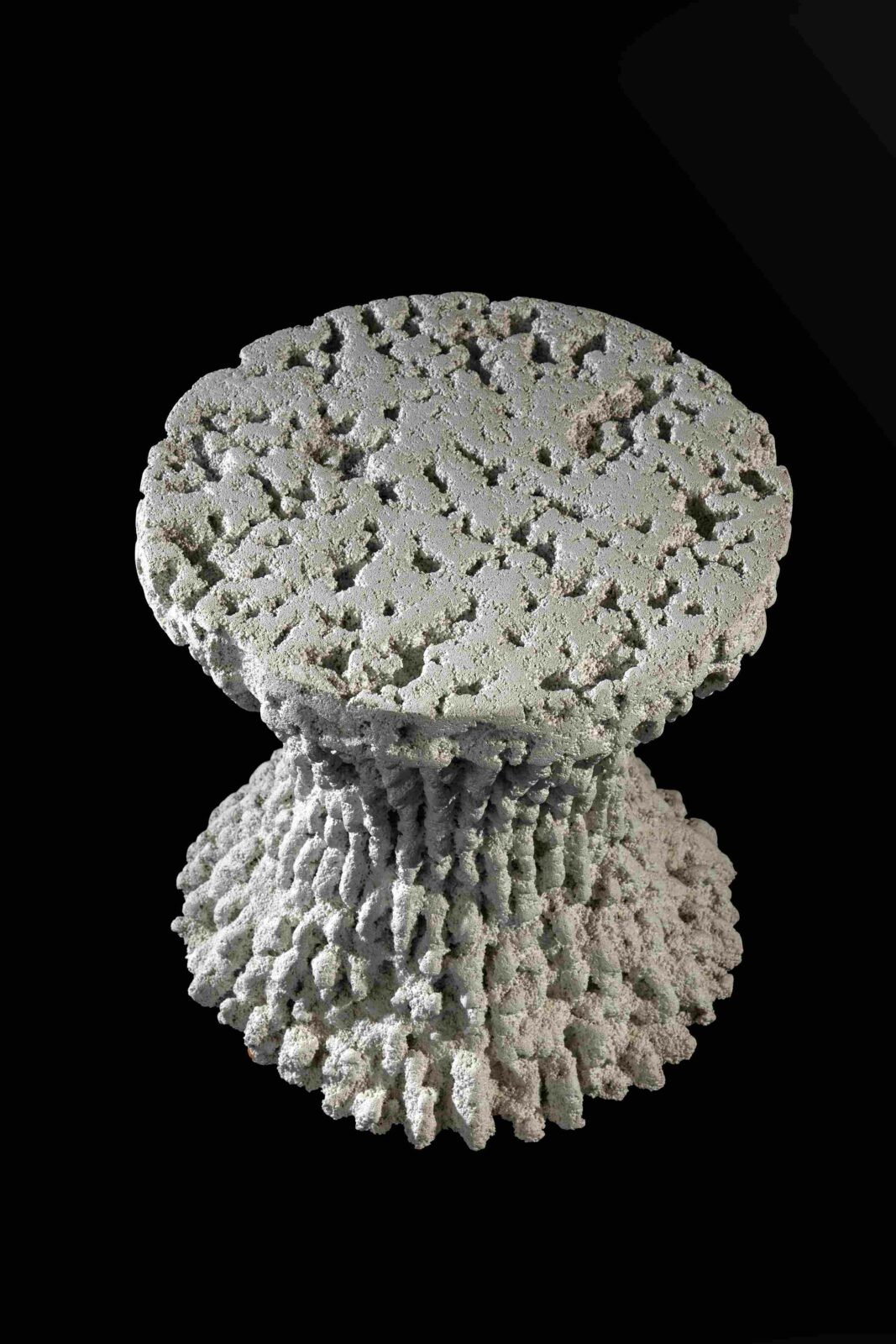 Photo credit: Mr. Arpit Patel