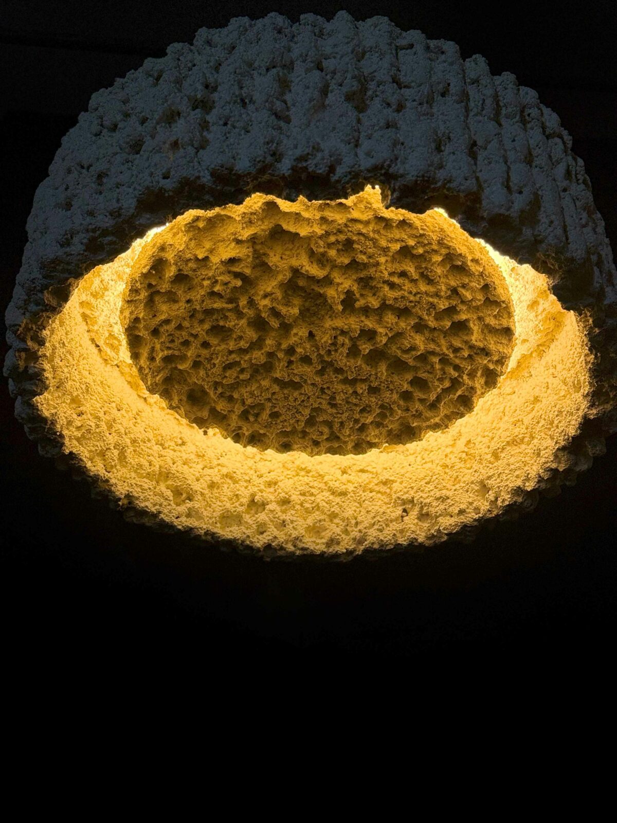 Photo credit: Mr. Arpit Patel