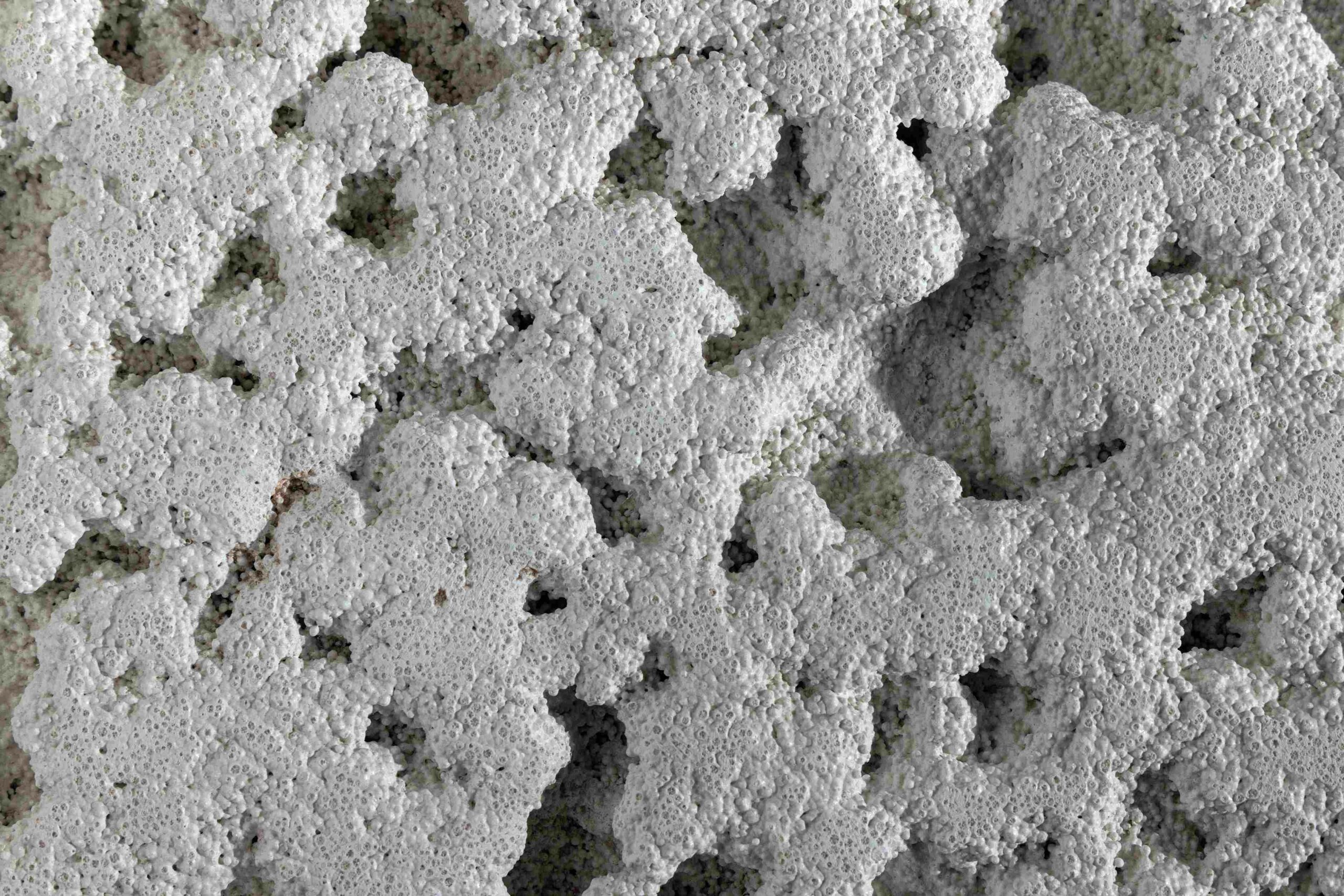 Photo credit: Mr. Arpit Patel