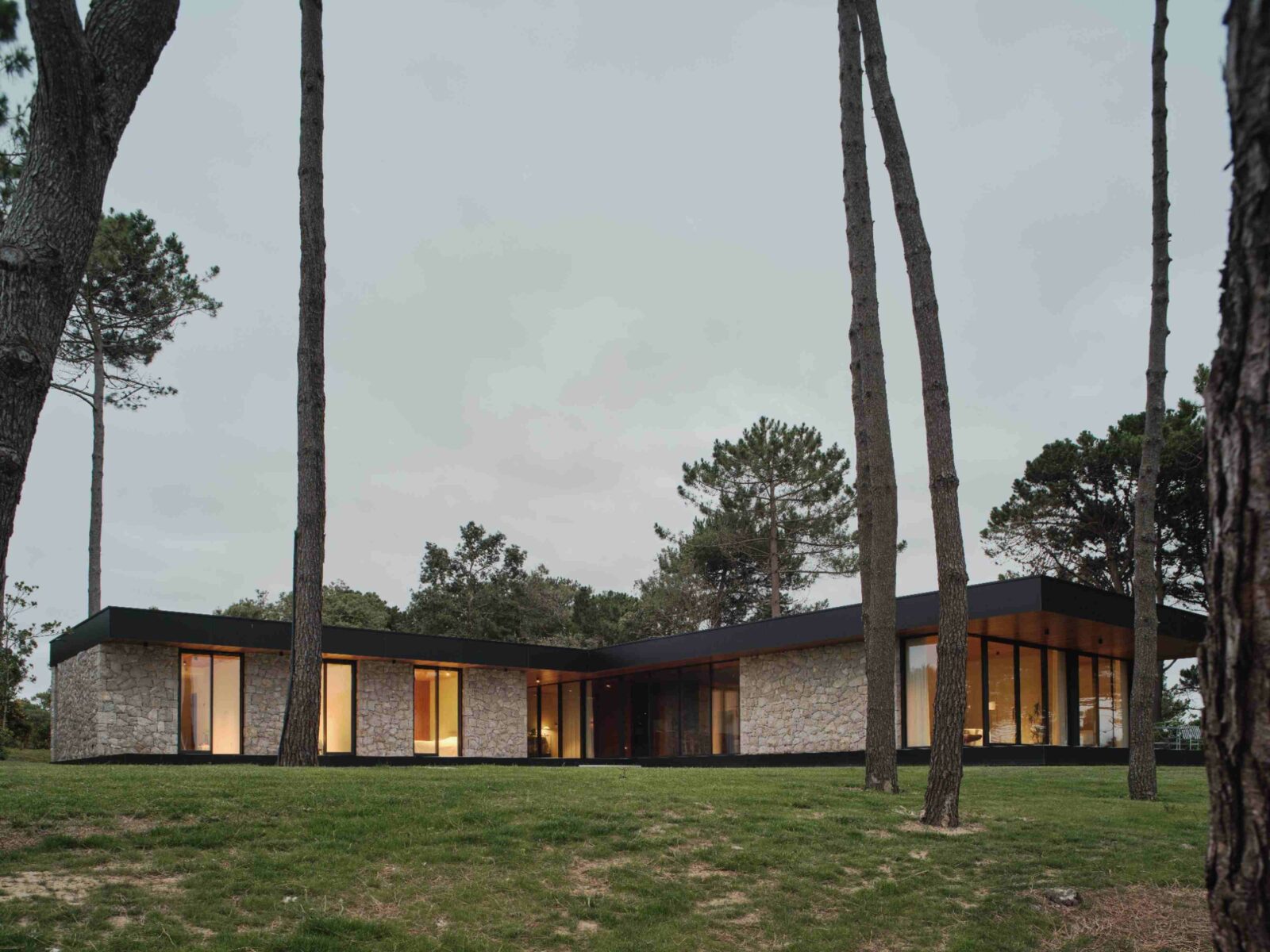 Photo credit: David Zarzoso