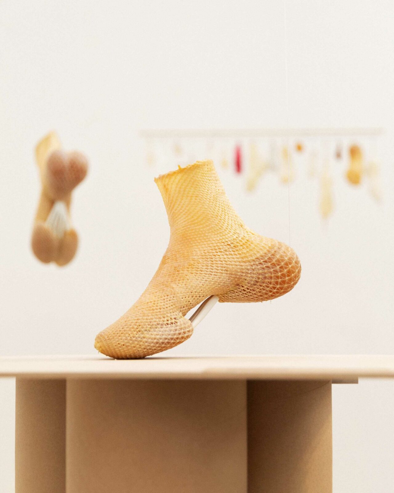 Photo credit: Wolfgang Laimer