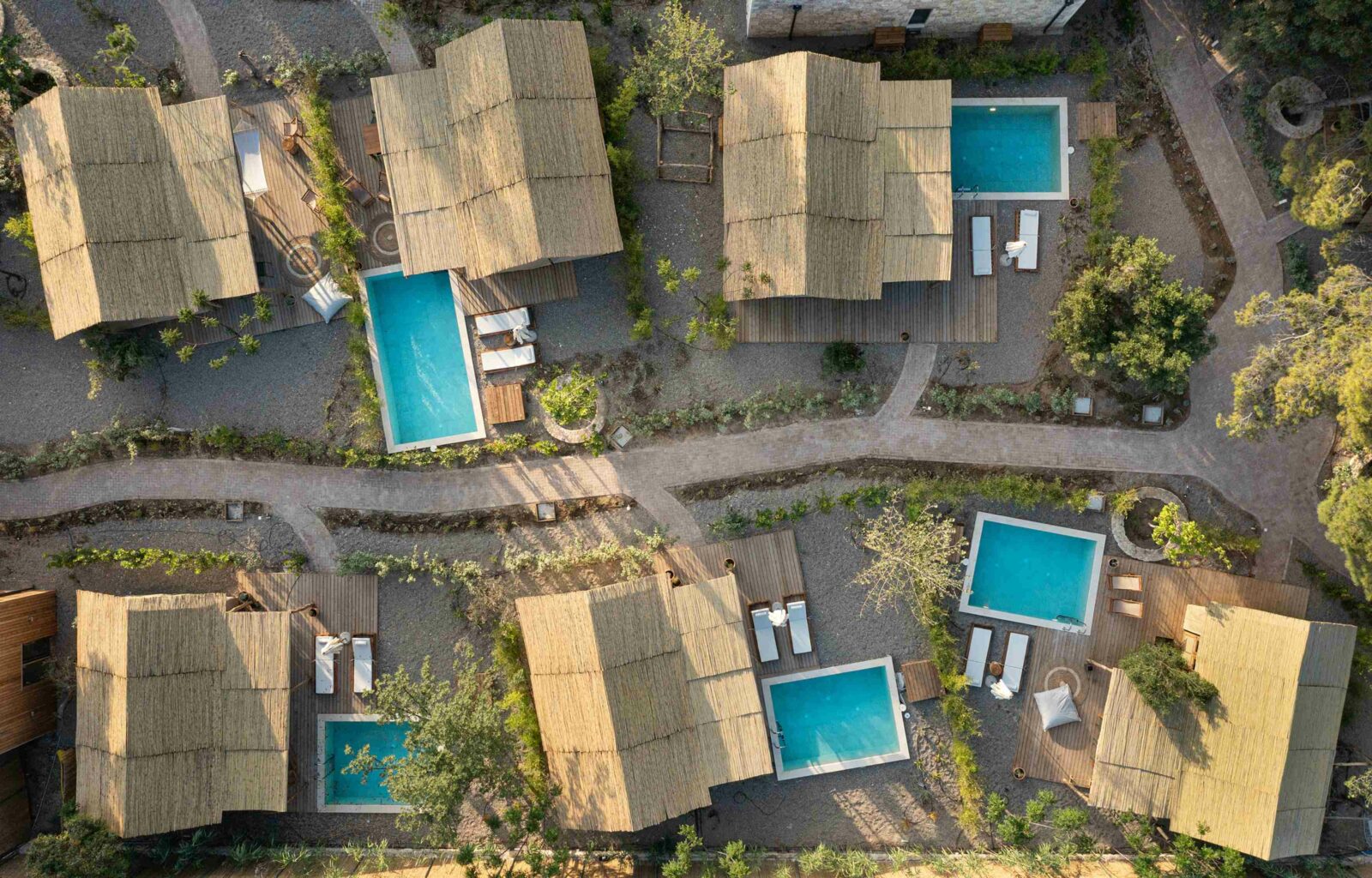 Photo credit: Kim Powell Photography