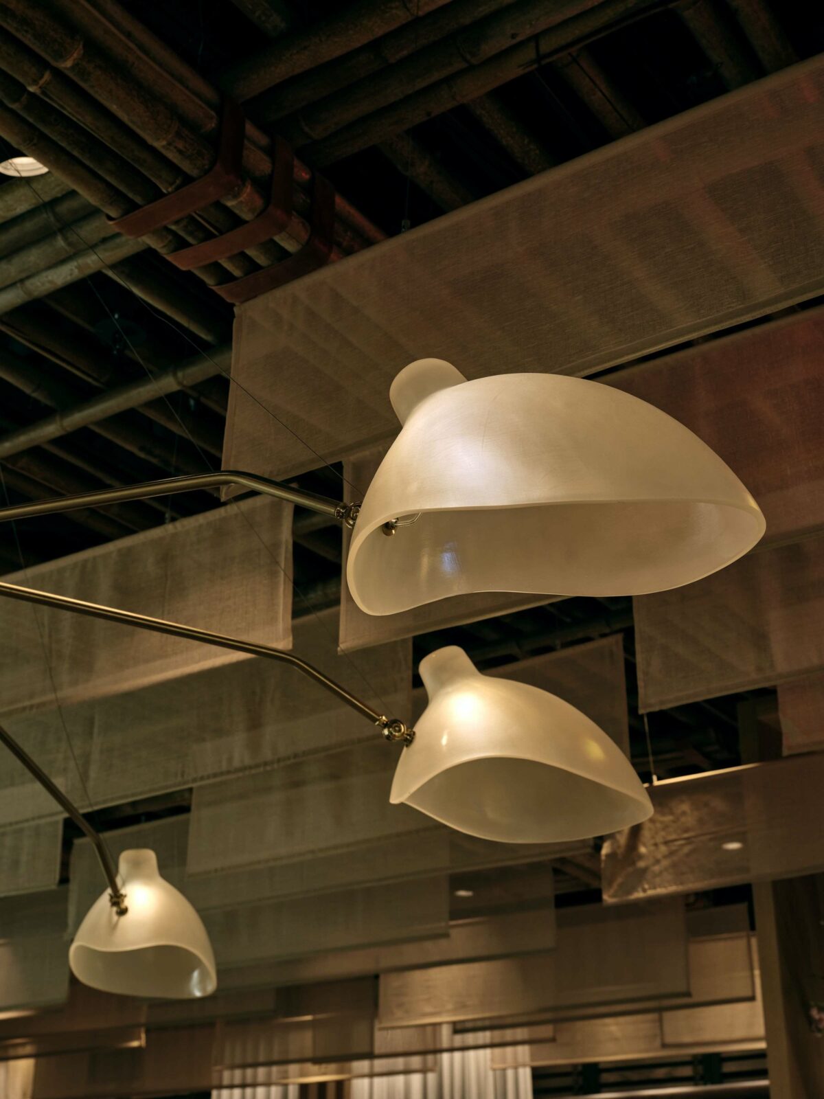 Photo credit: Sean Litchfield