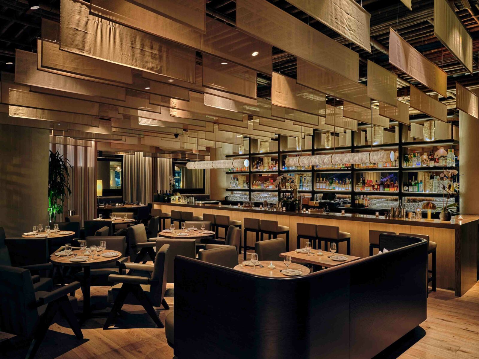 Photo credit: Sean Litchfield