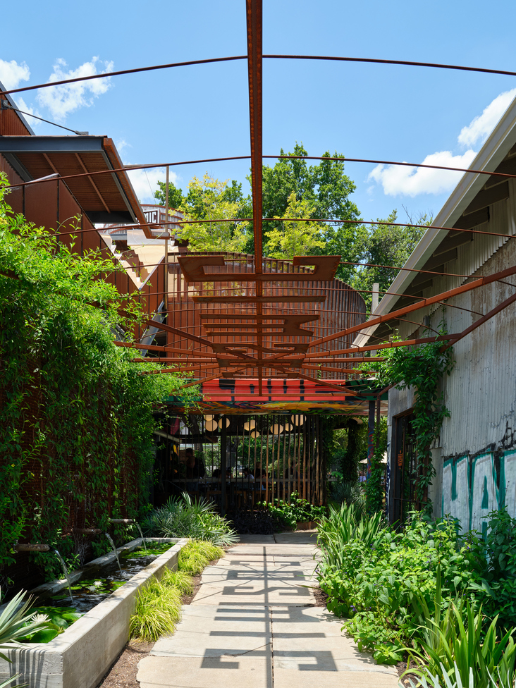 Cosmic Saltillo by Clayton Korte