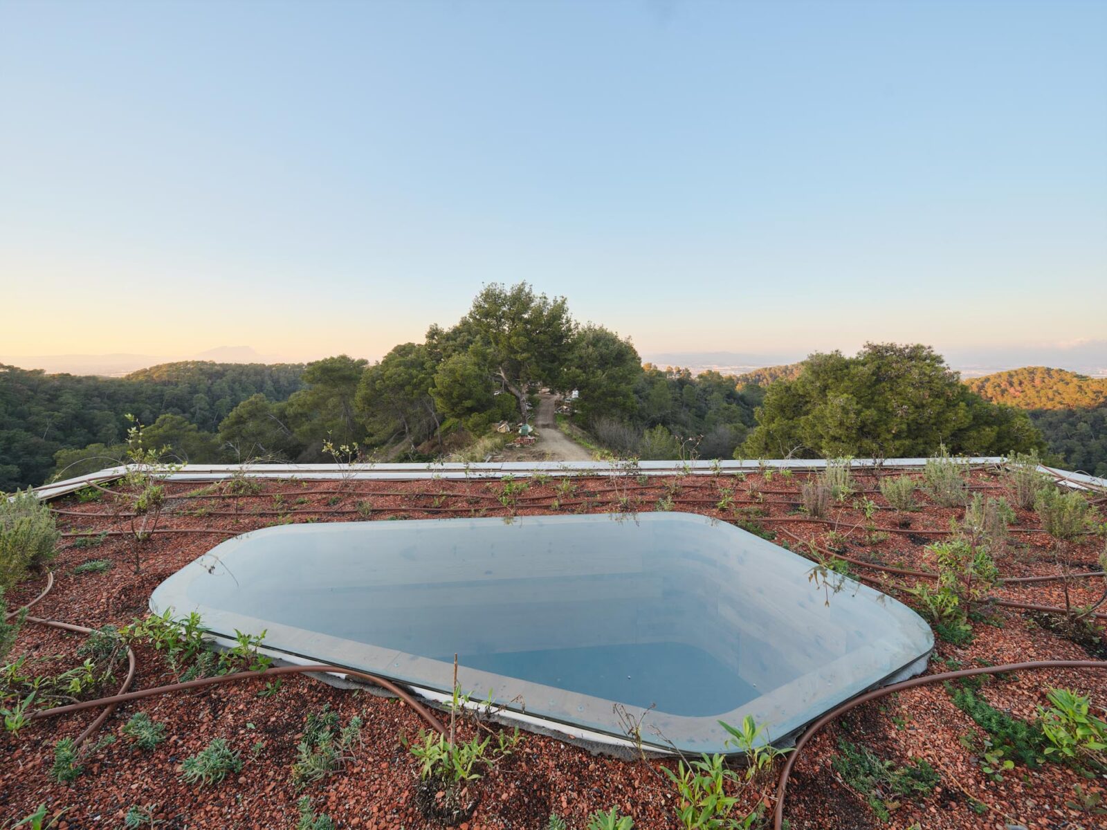 Photo credit: Adrià Goula