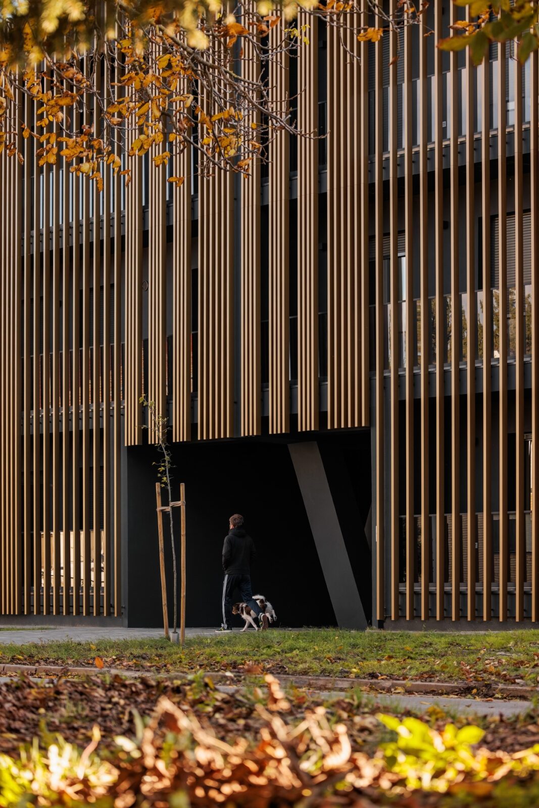 Magnum Opus Rechner Architects