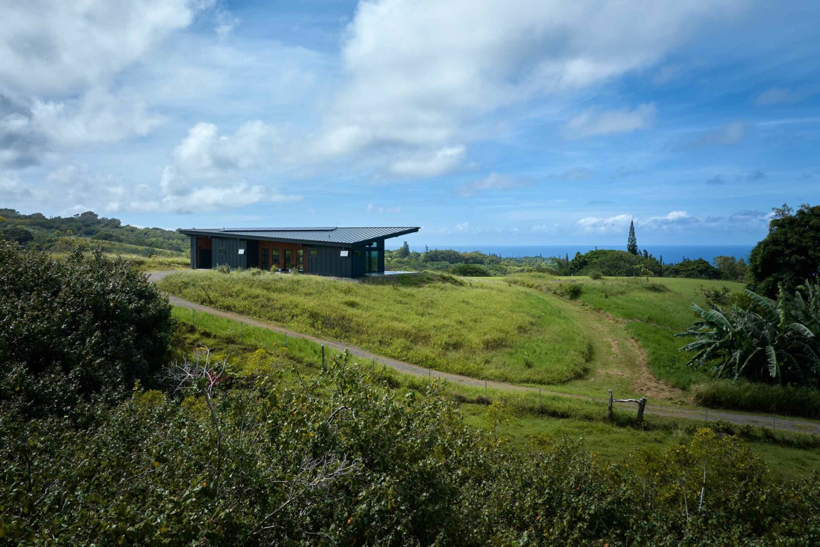 Photo credit: Travis Rowan Media