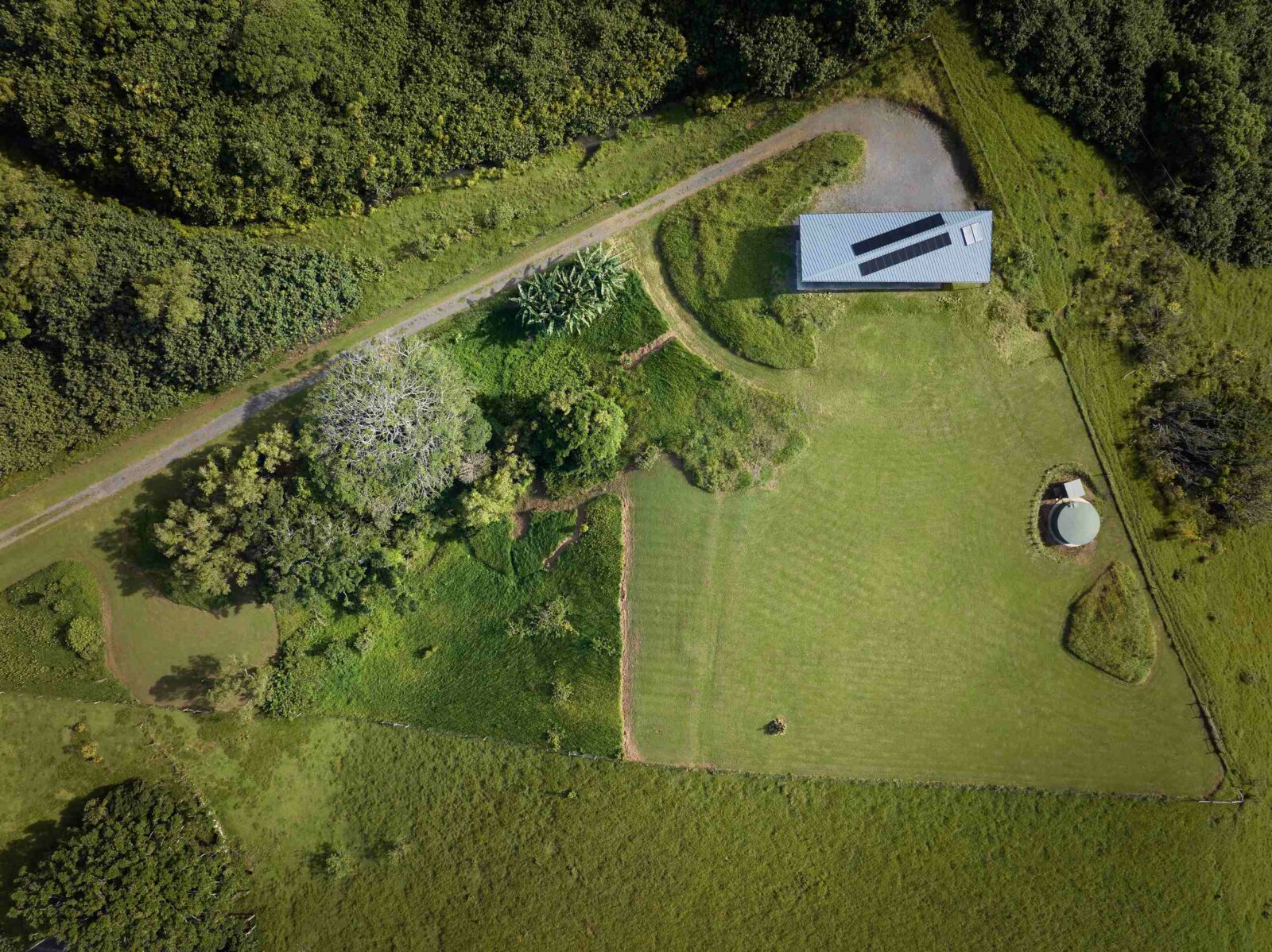 Photo credit: Travis Rowan Media