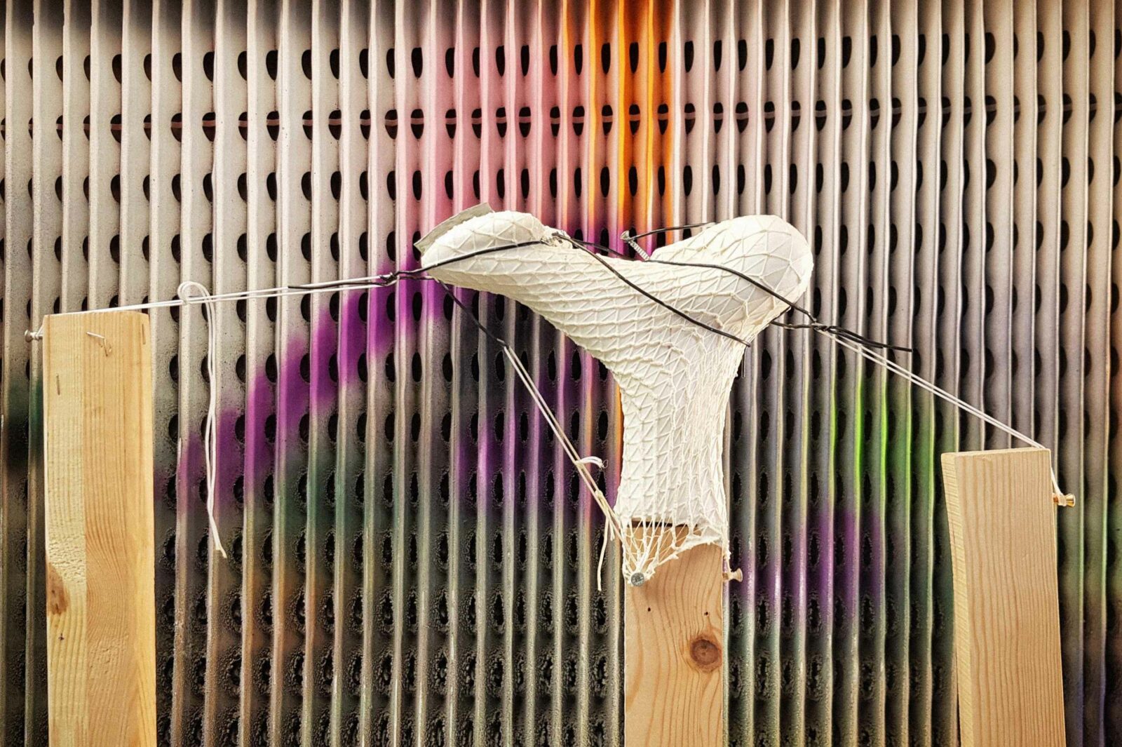 Photo credit: Wolfgang Laimer