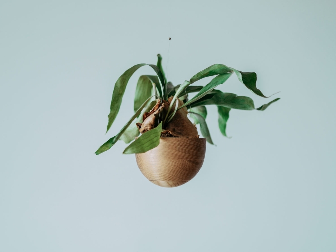 Photo credit: Courtesy of NECKTIE