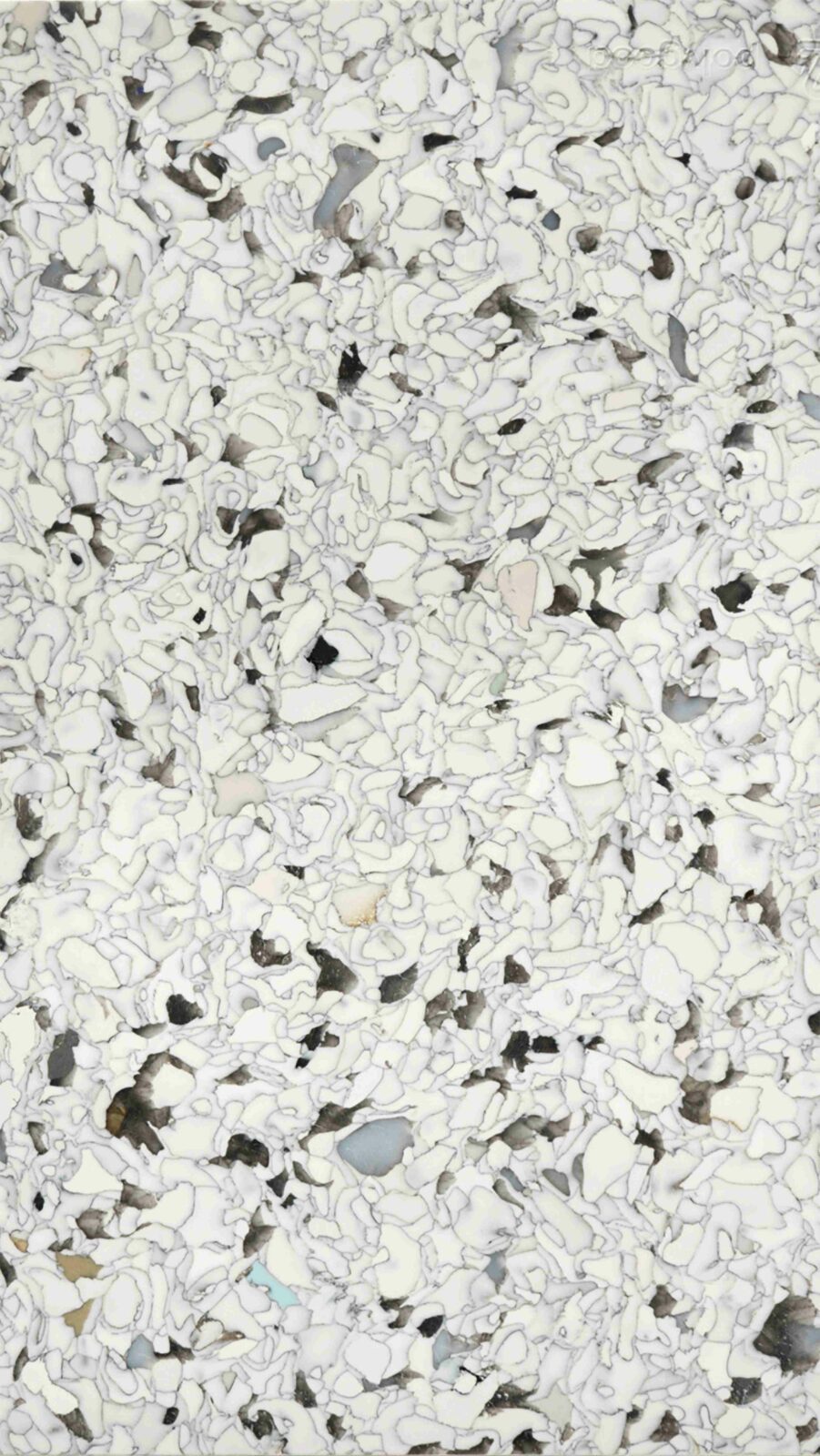 Photo credit: Courtesy of Joe Doucet