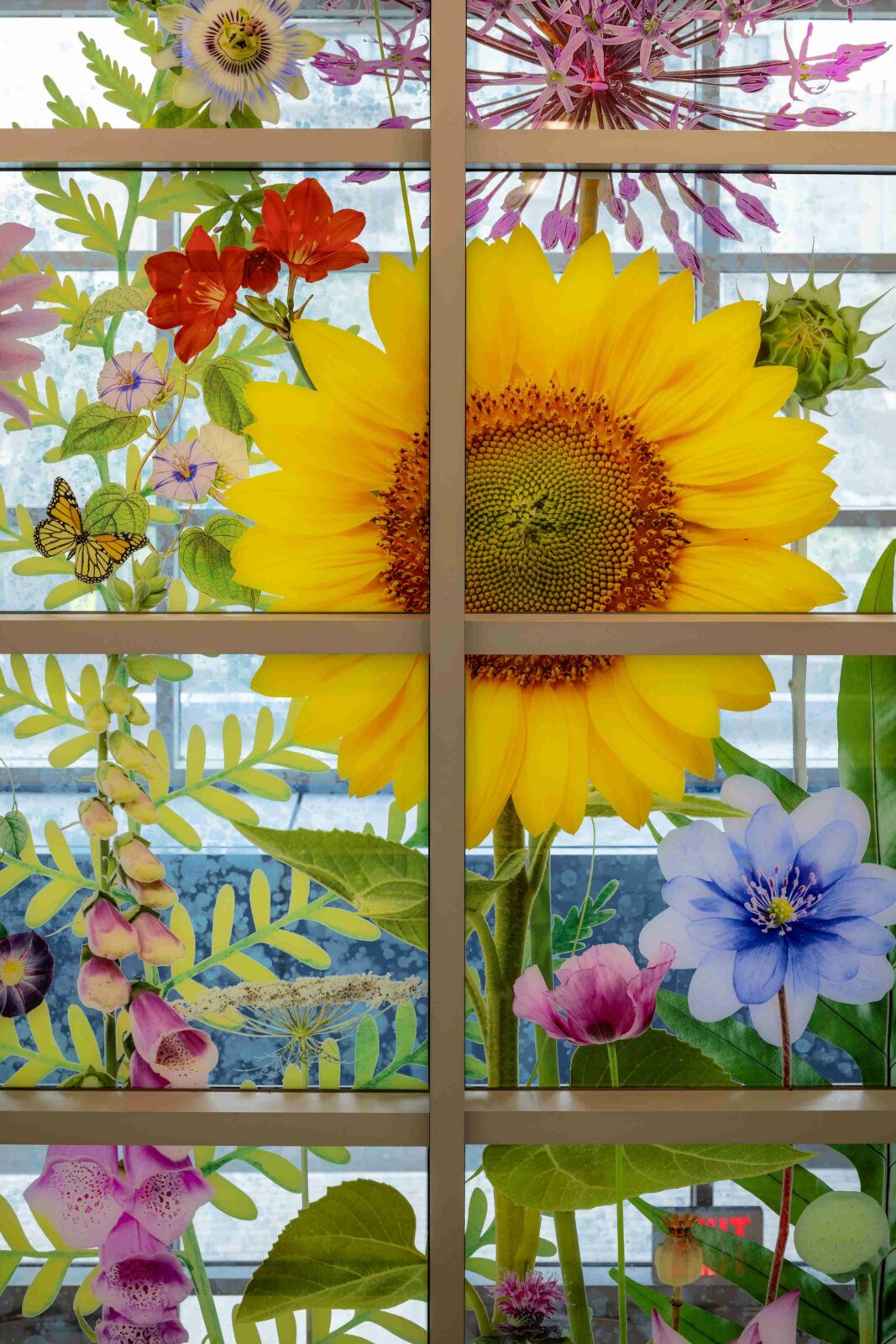 Photo credit: Sean Hemmerle