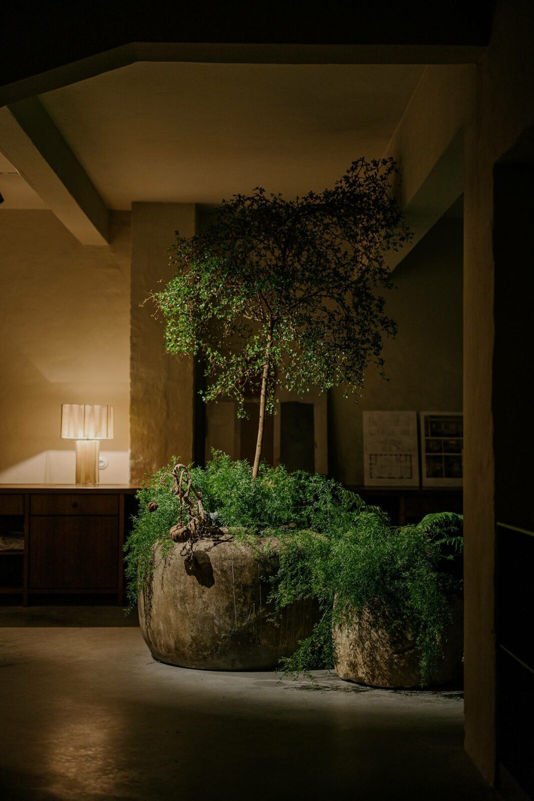 Photo credit: Longfei Wang